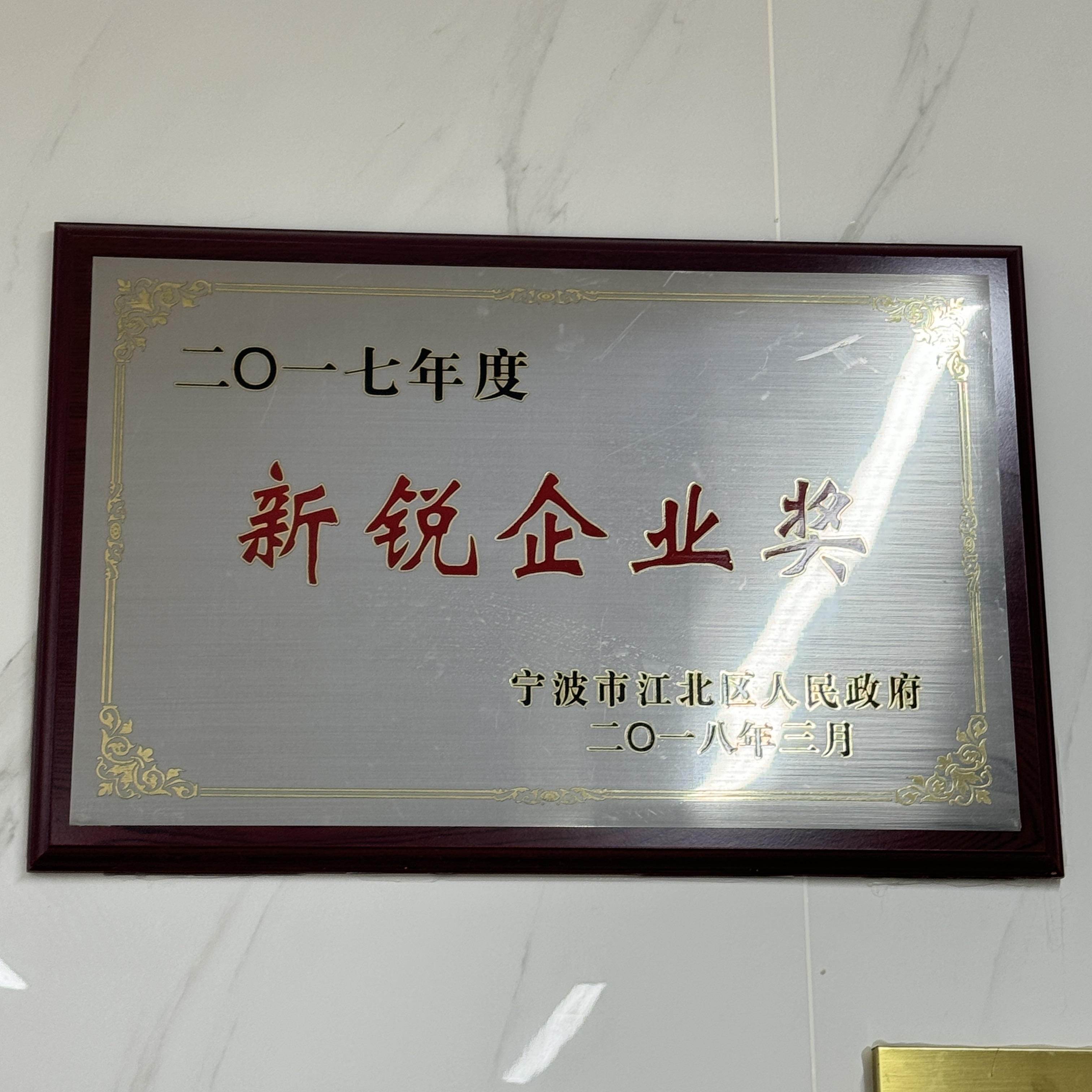 2017年度新锐企业奖